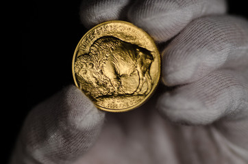 United States Gold Buffalo Being Held