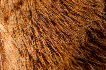 Long-haired woolen fabric