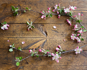 apple flowers on wooden background