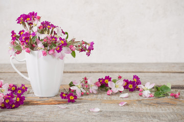 Still life of apple blossom flowers