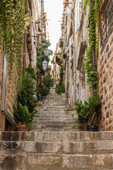 Fototapeta na wymiar Narrow and empty alley, steps, potted plants and vines at the Old Town in Dubrovnik, Croatia, viewed from below.