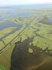 Swamp View From Above