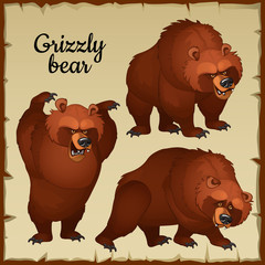 Obraz premium Angry brown bear attacks