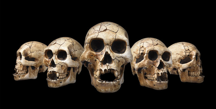 Collection of human skull isolated on black background