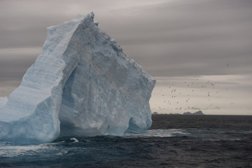 Icebergs in Antarctica