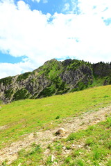 Obraz premium Branderschrofen