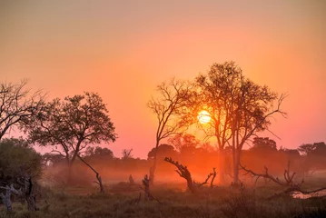Rolgordijnen Afrika zonsondergang © ottoduplessis