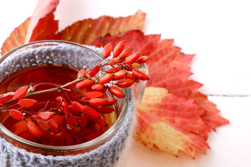 barberry tea with a knitted mug isolated on a white background
