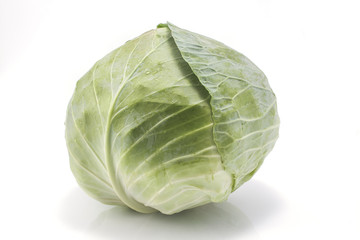 Cabbage