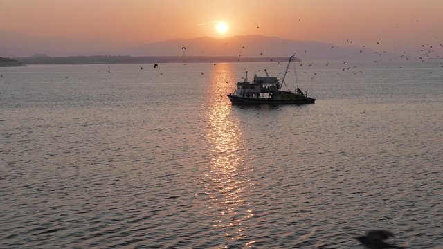 Fishing trawler surrounded by many seagulls with sunrise on the