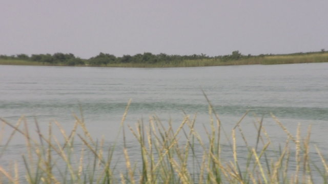 Boat charter fishing bay rt to lft HD