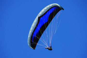 Paraglider