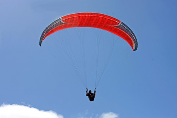 Paraglider