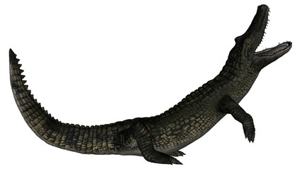 Caiman roaring - 3D render