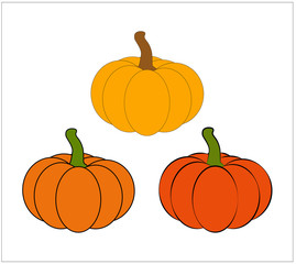 Halloween pumpkin vector illustration set isolated on white background.