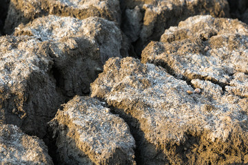 Сracked soil
