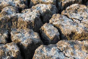 Сracked soil