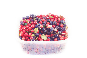Box full of Blueberries and Lingonberries isolated