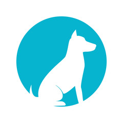 Pet and animal icon 