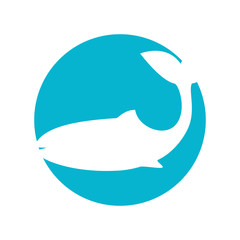 Obraz premium Pet and animal icon 