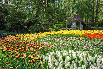 Obraz premium Flower Garden Keukenhof, Amsterdam