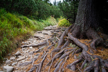 boulder road to High Tatra mountains
