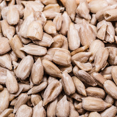 sunflower seeds as food background