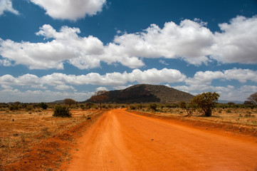 Landscape of Tsavo East, Kenya