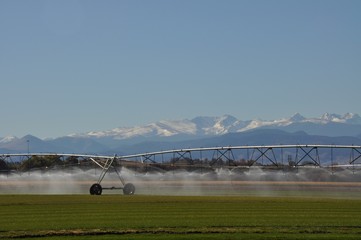 Irrigation of sod field east of Rocky Mountains
