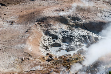 Natural hot spring, Yellowstone National Park
