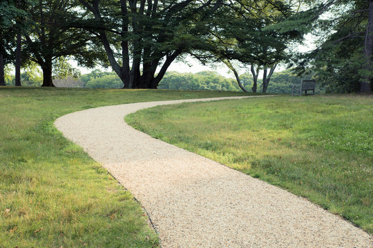 Path Through Treelined Park With Grass