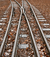 Fototapeta premium branch railway