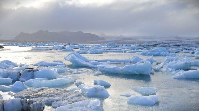 Icebergs floating in the Jokulsarlon glacier lagoon in Iceland with seals swimming around.