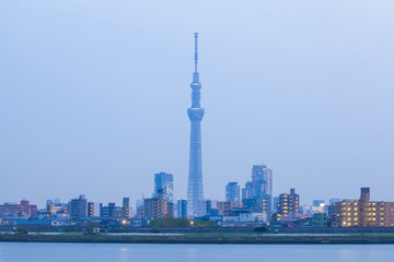 Naklejka premium Widok na miasto Tokio z drzewa Tokio niebo i rzekę wieczorem