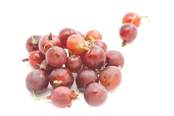 tasty red gooseberries