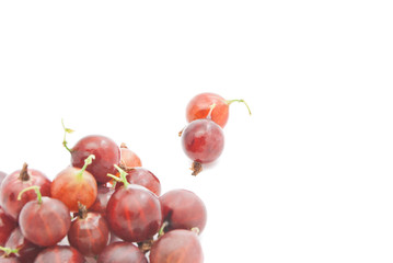 some red gooseberries