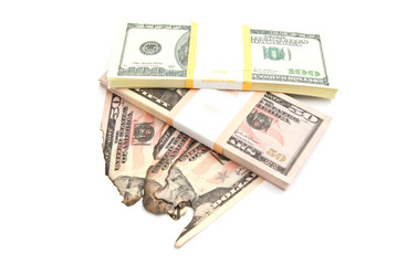 dollars and burned banknotes