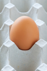 Healthy food brown chicken egg in carton container