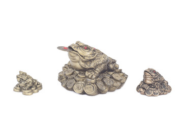 Figures of Chinese toads