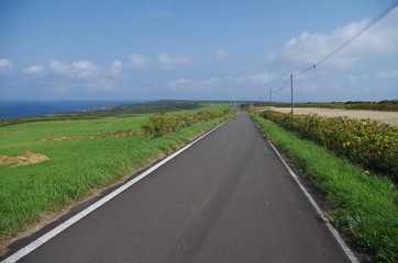 Fototapeta na wymiar 焼尻島の道路