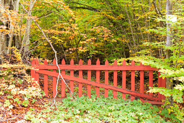old red gate in the woods