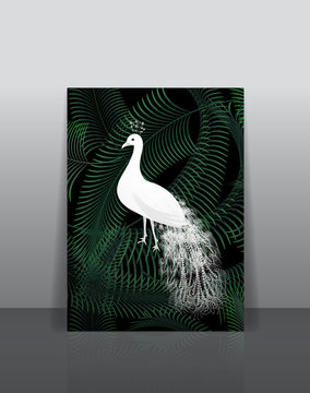 White peacock bird on jungle palm leaves background poster.