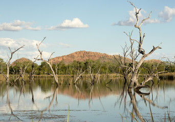 Kununurra ,Western Australia, Lake Kununurra