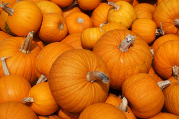 piles of pumpkins