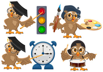 Set owl teacher