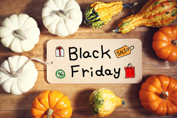 Black Friday message with colorful pumpkins
