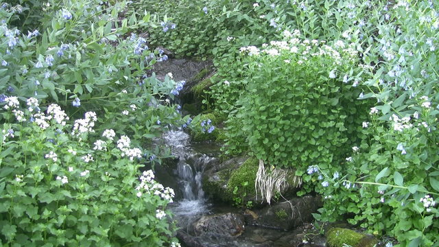 Waterfall stream mountain closeup HD