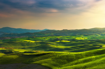 Obraz premium Tuscany spring, rolling hills on sunset. Rural landscape. Green