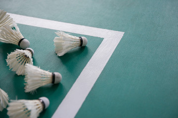used shuttlecocks inside the edge of a badminton courts