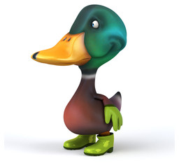 Fun duck